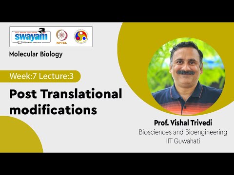 Molecular Biology Introduction Video