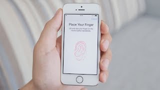How Does Fingerprint Scanning Work?