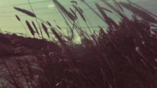 Nothing But Heart -  Fragile Skin