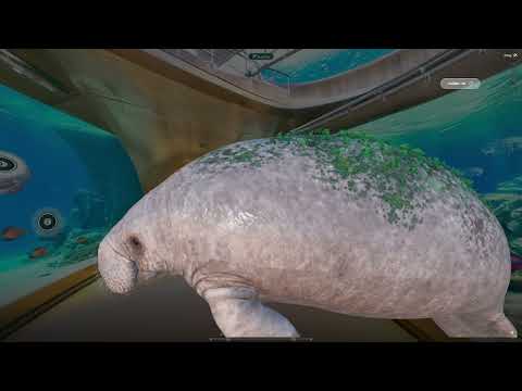 Large video thumbnail