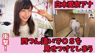 白木愛奈アナ四つん這いでOSを見せつけてしまう【ネット反応集】