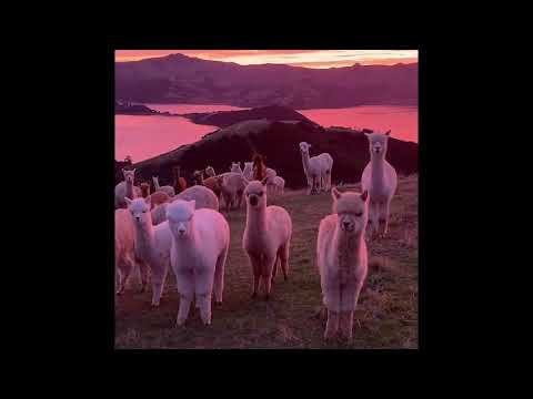 EDDIE CHACON -  PLEASURE, JOY AND HAPPINESS