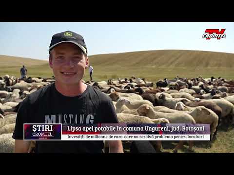 Lipsa apei potabile în comuna Ungureni