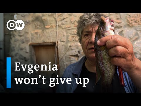 No more fish — empty net syndrome in Greece | DW Documentary