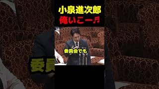 頼もしい進次郎、立憲に全力拒否される（笑）#政治 #議会 #小泉進次郎 #高市早苗 #自民党