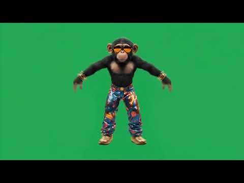 The monkey performs acrobatic dance 4k green screen #funnychimpanzee