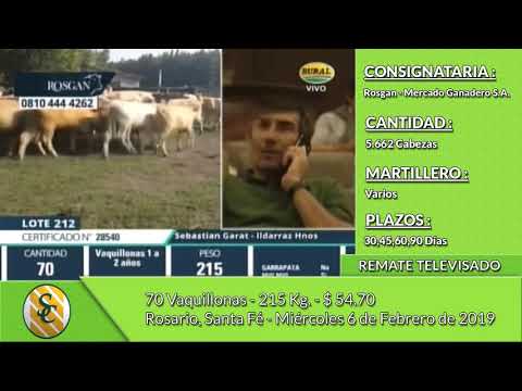 6-2-19 - Remate Televisado de ROSGAN 2do. Día - Rosario