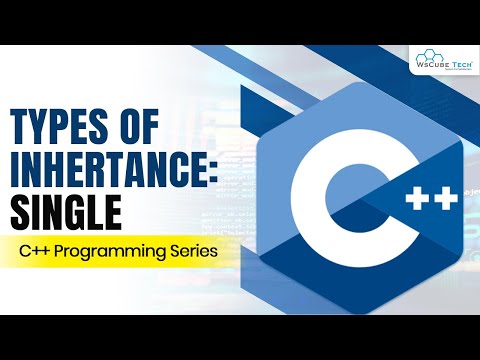 What is Object Oriented Programming OOPS C Tutorials for Beginners