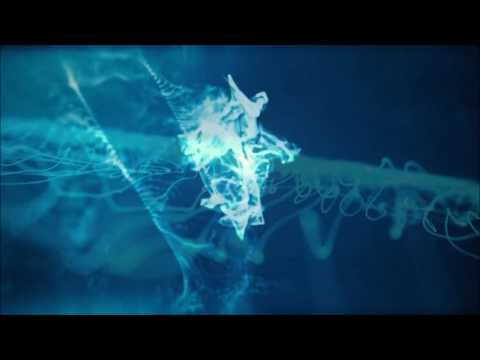 Santiago Niño - Eternal Atoms [video]