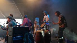 Jungle by Night @ Oranjebloesem 27-04-2017