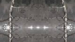 southern belles in london sing :: the faint