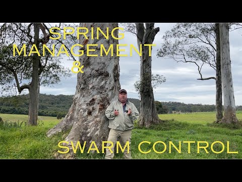 🐝 Mid July is spring management time.  Checking for mites, swarm prevention & making nucleus hives.