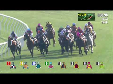 翡翠綠    21/12/18……(267)第七塲四班1600米