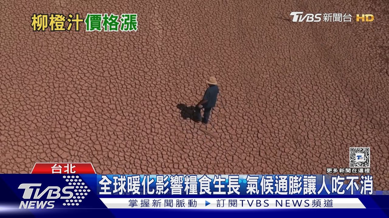 台灣2060年沒有冬天!夏天恐達7個月熱到爆 糧食、電力負載大考驗