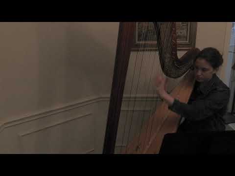 Promotional video thumbnail 1 for Kathryn Horton, Harpist