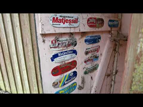 MATJESILLSAMLARENS UTEDASS - 2022-04-15 - Ronnebys norra skogsbygder - BLEKINGE - Huawei P40 PRO