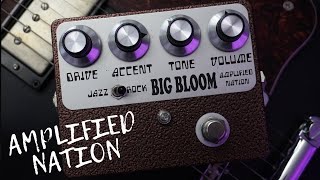 Video thumbnail for Amplified Nation: Big Bloom Overdrive Demo by Mark Hopkins