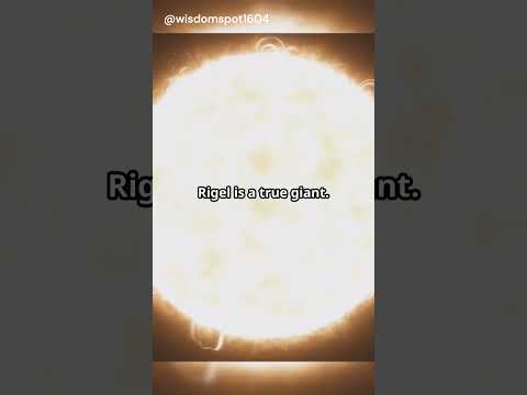 What is Rigel? The Brightest Star in Orion!