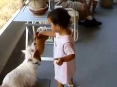 HPIM0134 Mothers Day 2004 Stephanie & Cynthia playing w/ Joy the Dog at Grandma & Grandpa's lanai