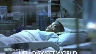 Hello Sweet World of The Movies.