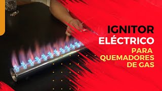 Ignitor Eléctrico Para Quemadores de Gas