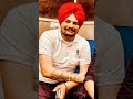 Everybody Hurts Sidhu Moosewala Whatsapp Status