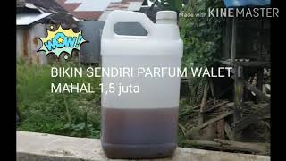 Download lagu Cara Membuat Parfum Walet MAHAL KUALITAS TERBAIK (VIRAL) mp3