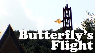 The Butterfly's Flight (Faireset and Nabeel Original)