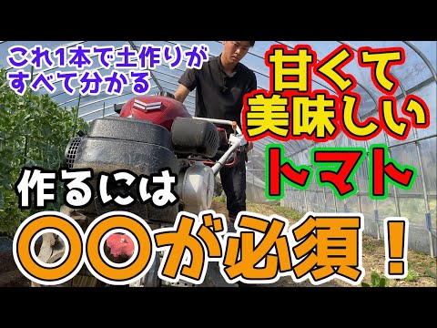 トマトが足を育てるのに最適な天然肥料は何ですか