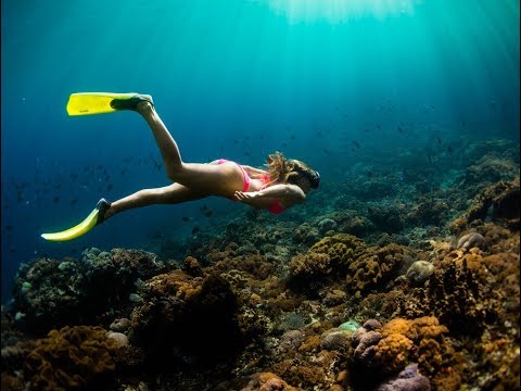 Grand Island Tour GOA