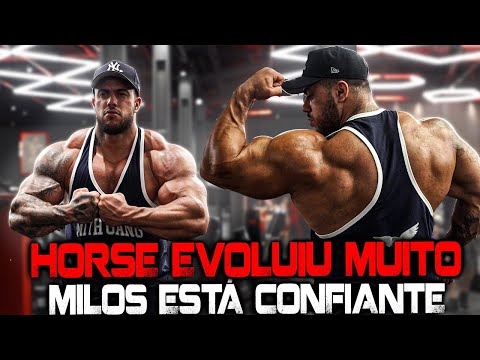 HORSE HAS EVOLVED A LOT, MILOS IS CONFIDENT!!!