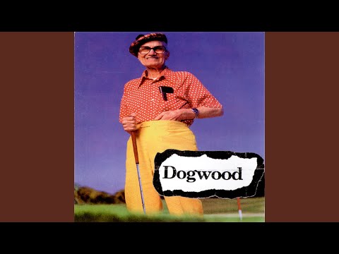 Lapchild - Dogwood