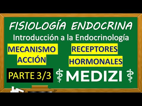 Endocrine Physiology - INTRO (HORMONAL RECEPTORS - MECHANISM OF ACTION) PART 3/3 (IG:@doctor.paiva)