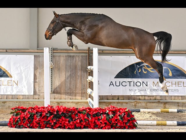 Whiskey van de Kruishoeve