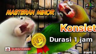 Download lagu Masteran lovebird betina konslet minor,1 jam full speed pelan mp3