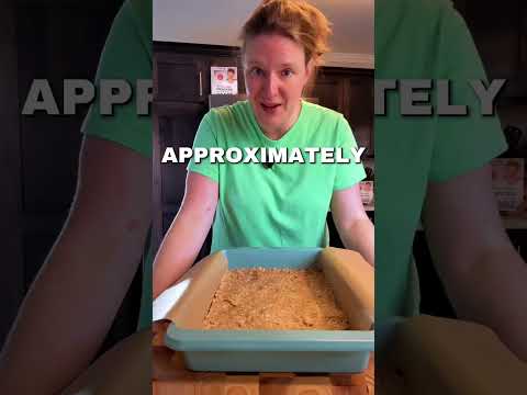 Chocolate Chip Caramel Oat Bars