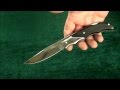 Складной нож Белка-Б (сталь Elmax), граб 