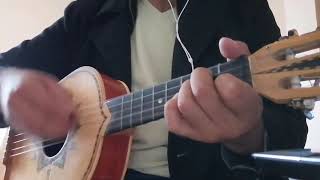 amar y querer VIHUELA Vicente Fernández