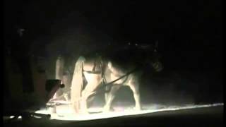 Christmas Cowboy Style