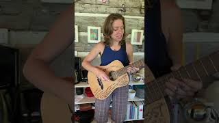 Willing to Fight (reinvented) - Ani DiFranco