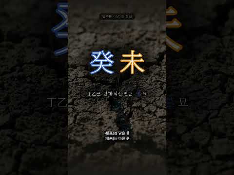 마른 흙에 스미는 물 | 계미(癸未) 일주