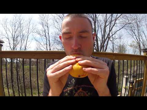 download lagu mp3 mp4 How To Eat A Mango With Your Hands, download lagu How To Eat A Mango With Your Hands gratis, unduh video klip How To Eat A Mango With Your Hands