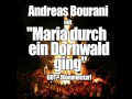 Andreas Bourani - Maria Durch Ein Dornwald Ging