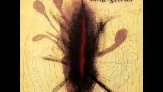 David Sylvian - Les Fleurs Du Mal