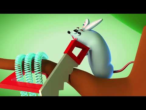 Paperotti BACKWARDS Open Air Gymnastics Short Paperotti