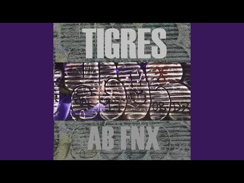 Tigres