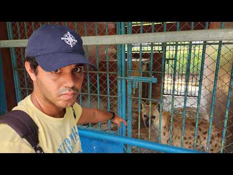 Asi esta el zoológico de Cuba hoy 😢🇨🇺