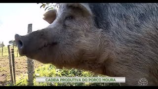 Miniatura do vídeo