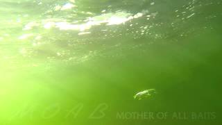 Anre s tt minnow 85