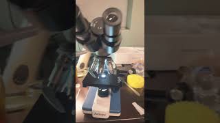 Download lagu New microscope 🔬- amscope b120c #microscope #science mp3